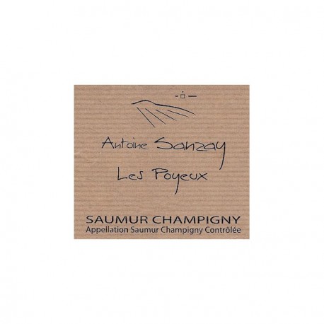 saumur champigny 2013 les poyeux antoine sanzay