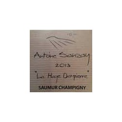 saumur champigny 2014 la haye dampierre antoine sanzay