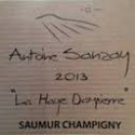 Antoine Sanzay Saumur Champigny la Haye Dampierre 2014