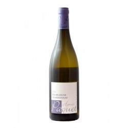Bourgogne Chardonnay 2016 Agnés Paquet