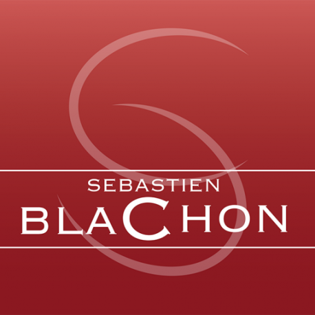 Sebastien Blachon Saint Joseph LE PÉPÉ Rouge 2016