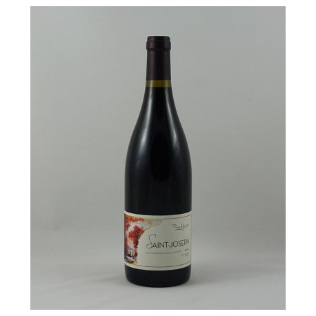 Saint Joseph rouge 2015 Domaine Pierre Gaillard "Magnum"
