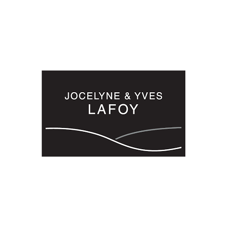 cote rotie cote rozier 2014 domaine lafoy