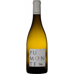 Domaine Alzipratu Cismonte "Singulier" blanc 2016