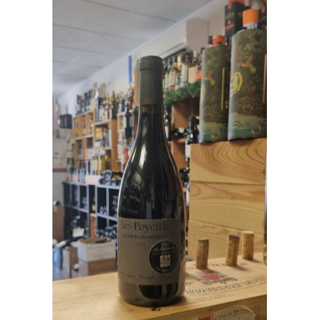 saumur champigny 2013 les poyeux dominique joseph