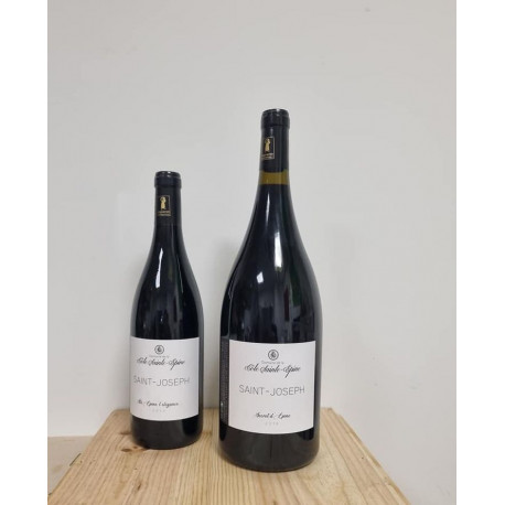 Mickael Desestret "la Cote Saint épine" Saint Joseph 2019 Rouge Magnum
