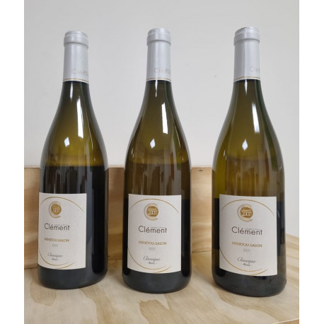 Domaine de Châtenoy MENETOU-SALON 2021 BLANC Isabelle et Pierre Clémen