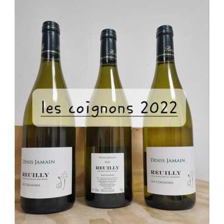 DOMAINE DE REUILLY DENIS JAMAIN Loire Reuilly 2022 BLANC