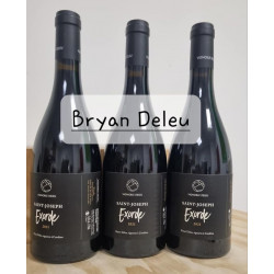 Bryan Deleu Saint-Joseph "Exorde" rouge 2021