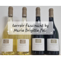 Clos Teddi Grande Cuvée Blanc 2019 PATRIMONIO Marie-Brigitte Poli