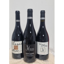 Domaine Michelas St Jemms Saint Joseph Sainte Epine Rouge 2019