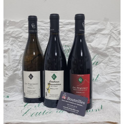 Guillaume Gilles Côtes du Rhône Rouge "Les Peyrouses"