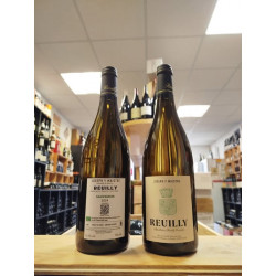 DOMAINE DE REUILLY DENIS JAMAIN Loire Reuilly 2022 BLANC