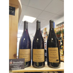 Antoine Sanzay Saumur Champigny les Poyeux 2023