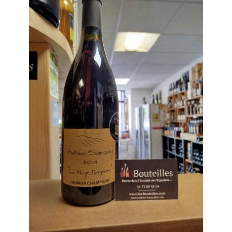 saumur champigny 2014 la haye dampierre antoine sanzay