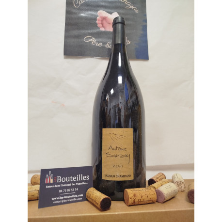 saumur champigny 2014 antoine sanzay