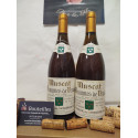 Domaine des Bernardins 2019 Muscat de Beaumes de Venise Moelleux