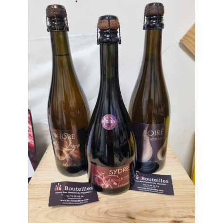 Domaine Eric Bordelet Sydre Argelette 2023