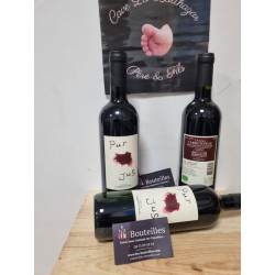 Château Carbonneau – Pur Jus 2022 Sainte-Foy-Côtes de Bordeaux – Vin rouge biologique