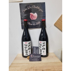 Domaine Antoine Becheras Saint Joseph « Météore » 2022