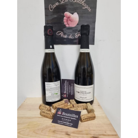 Domaine d'orfeuilles - Vouvray - Brut