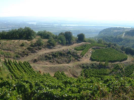 Domaine du Tunnel